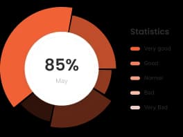Reporting & Insights