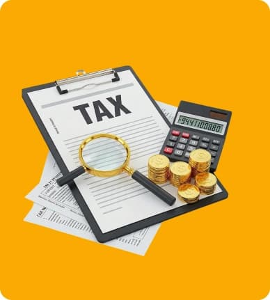 Accurate VAT Reporting